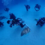 水良し　魚良し　天気良し！