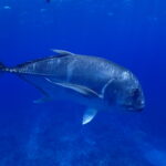 スキルアップの先にある「凄海」へ！