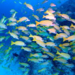 満員御礼！連休終了！　そしてベストシーズン突入！！