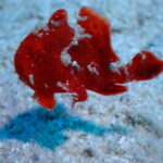 古巣　北部遠征に行ってきたよ～！！