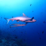 遅ればせながら…シーズンイン！！