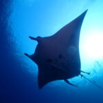 石垣島　最愛のホームグラウンド！