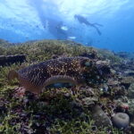 南風強し！北へ西へと風波を避けながら…